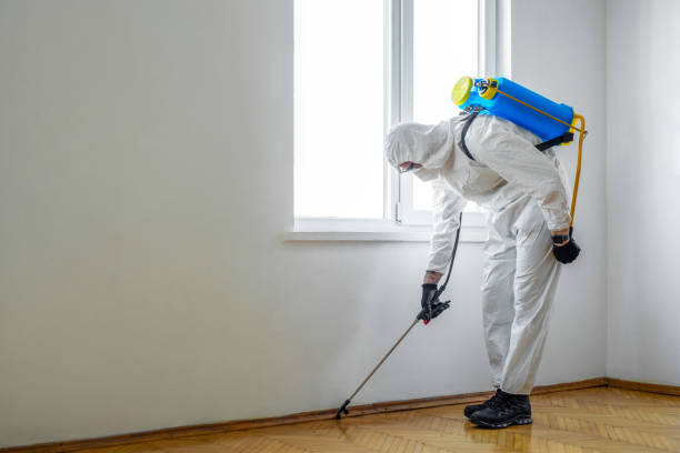 Best Emergency Pest Control  in Leetonia, OH